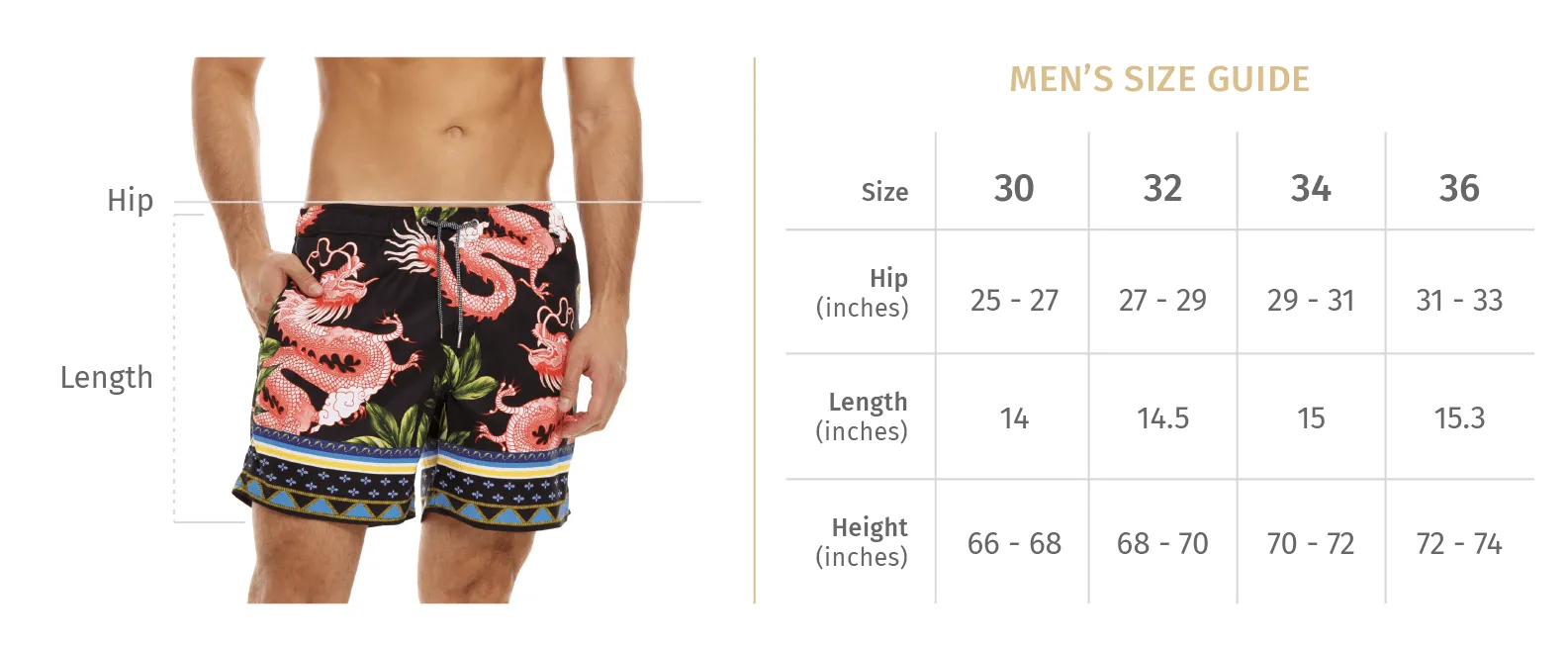 Agua Bendita Cardumen Joe Mens Swim Trunk