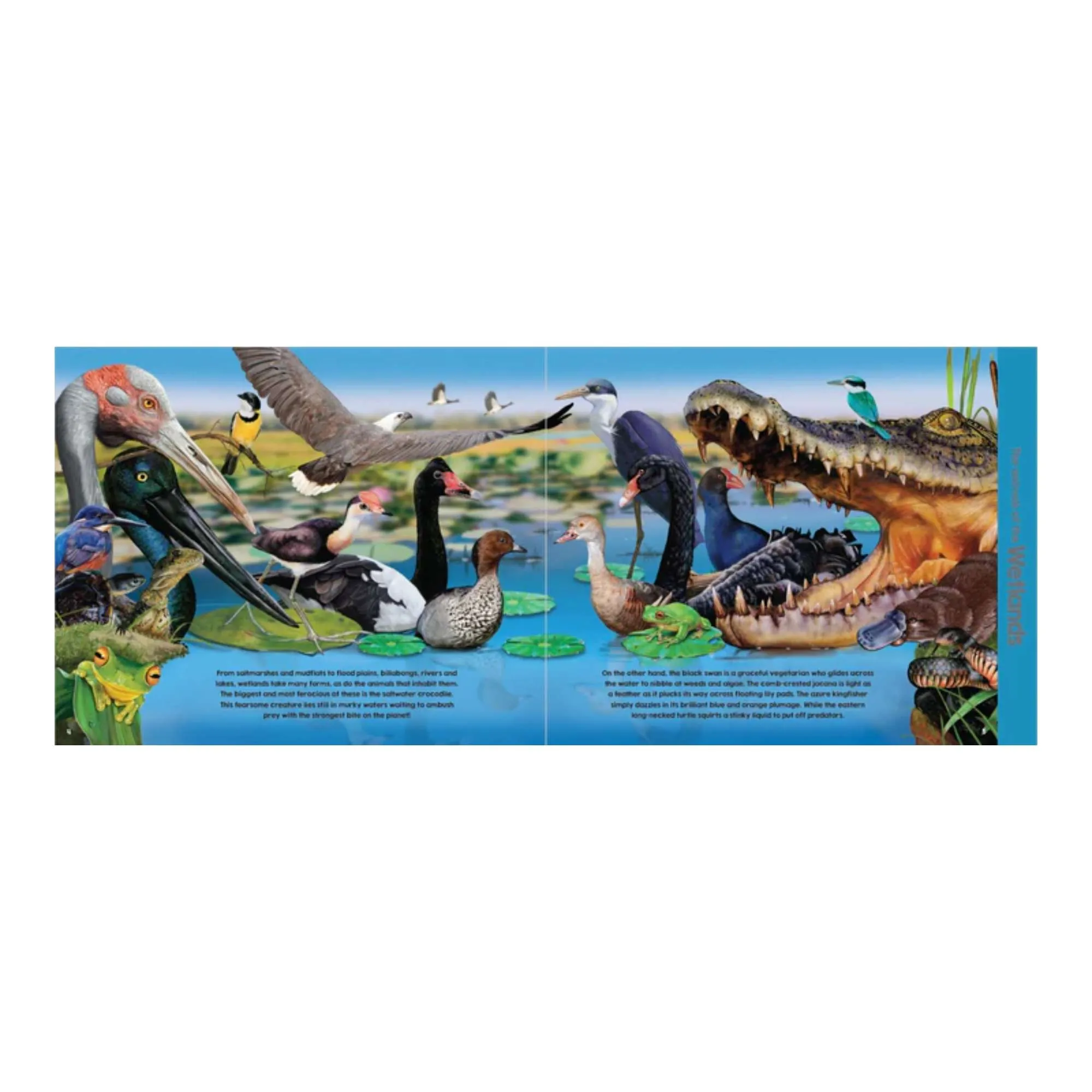 Garry Fleming's Animals of Australia Book