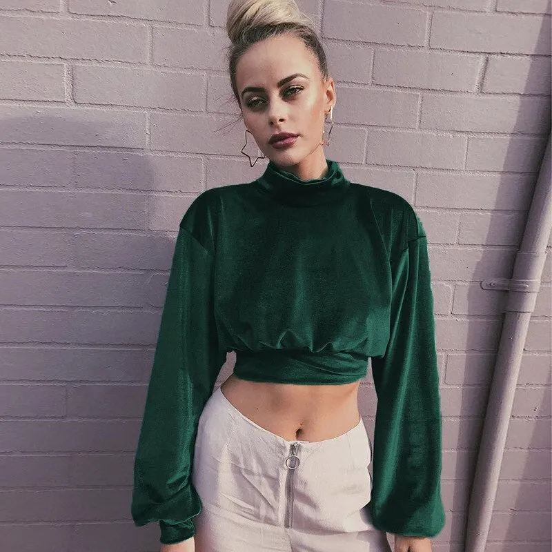 Joskaa Fashion Long Sleeve Turtleneck Crop Tops Women 2024 Autumn Winter Casual Velvet Woman T Shirt Tee Shirt Femme Cropped Tshsirts