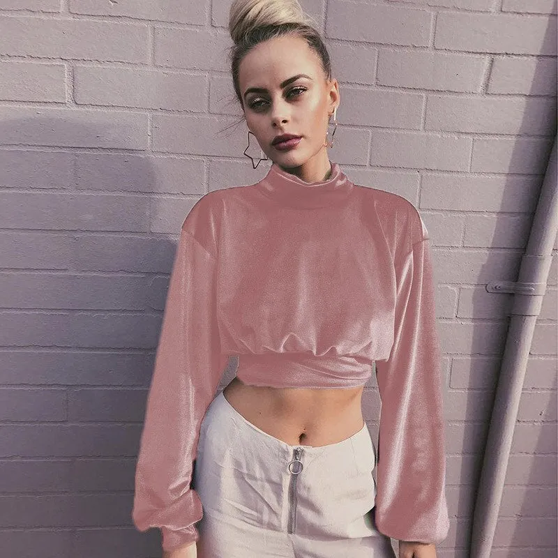 Joskaa Fashion Long Sleeve Turtleneck Crop Tops Women 2024 Autumn Winter Casual Velvet Woman T Shirt Tee Shirt Femme Cropped Tshsirts