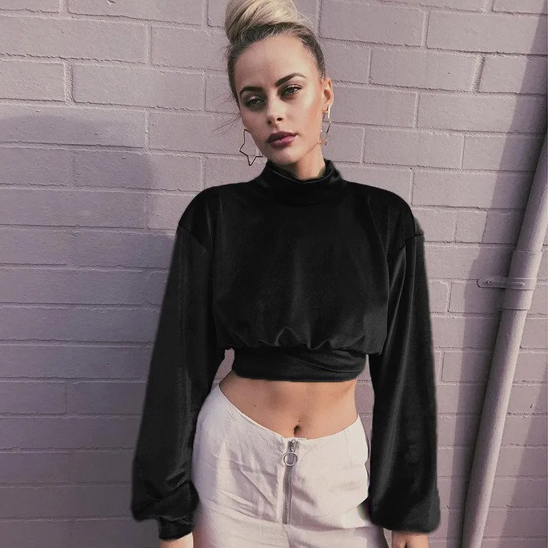 Joskaa Fashion Long Sleeve Turtleneck Crop Tops Women 2024 Autumn Winter Casual Velvet Woman T Shirt Tee Shirt Femme Cropped Tshsirts