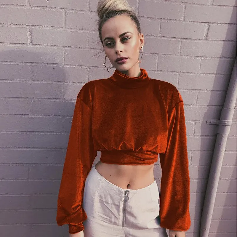 Joskaa Fashion Long Sleeve Turtleneck Crop Tops Women 2024 Autumn Winter Casual Velvet Woman T Shirt Tee Shirt Femme Cropped Tshsirts