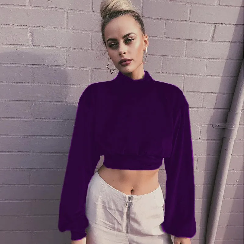 Joskaa Fashion Long Sleeve Turtleneck Crop Tops Women 2024 Autumn Winter Casual Velvet Woman T Shirt Tee Shirt Femme Cropped Tshsirts