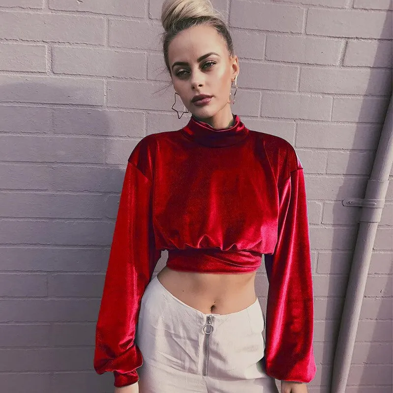 Joskaa Fashion Long Sleeve Turtleneck Crop Tops Women 2024 Autumn Winter Casual Velvet Woman T Shirt Tee Shirt Femme Cropped Tshsirts