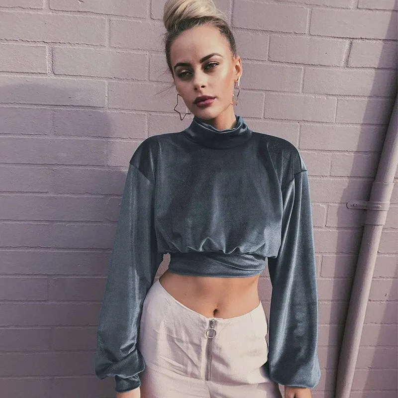 Joskaa Fashion Long Sleeve Turtleneck Crop Tops Women 2024 Autumn Winter Casual Velvet Woman T Shirt Tee Shirt Femme Cropped Tshsirts