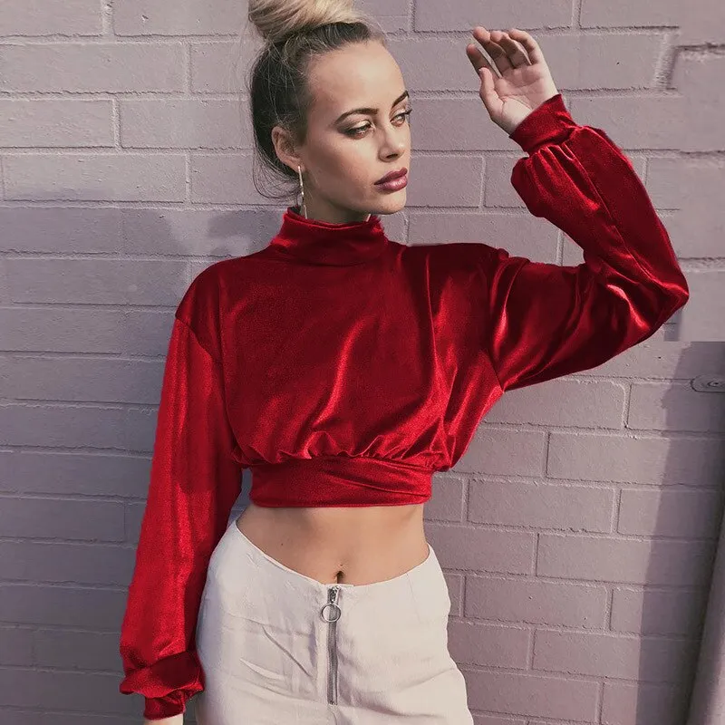 Joskaa Fashion Long Sleeve Turtleneck Crop Tops Women 2024 Autumn Winter Casual Velvet Woman T Shirt Tee Shirt Femme Cropped Tshsirts